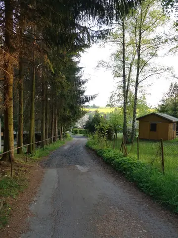 Cesta lesem kolem chatek